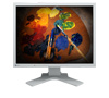 Eizo FlexScan S2100
